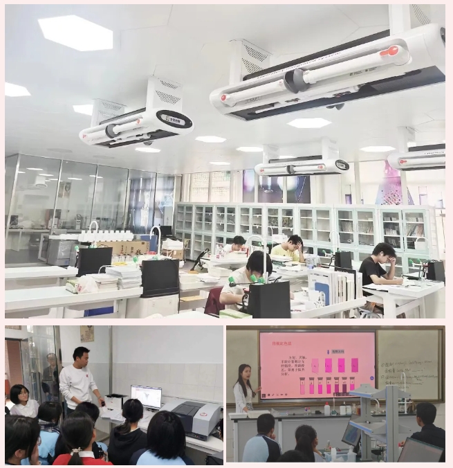 微信截图_20240624090001.png
