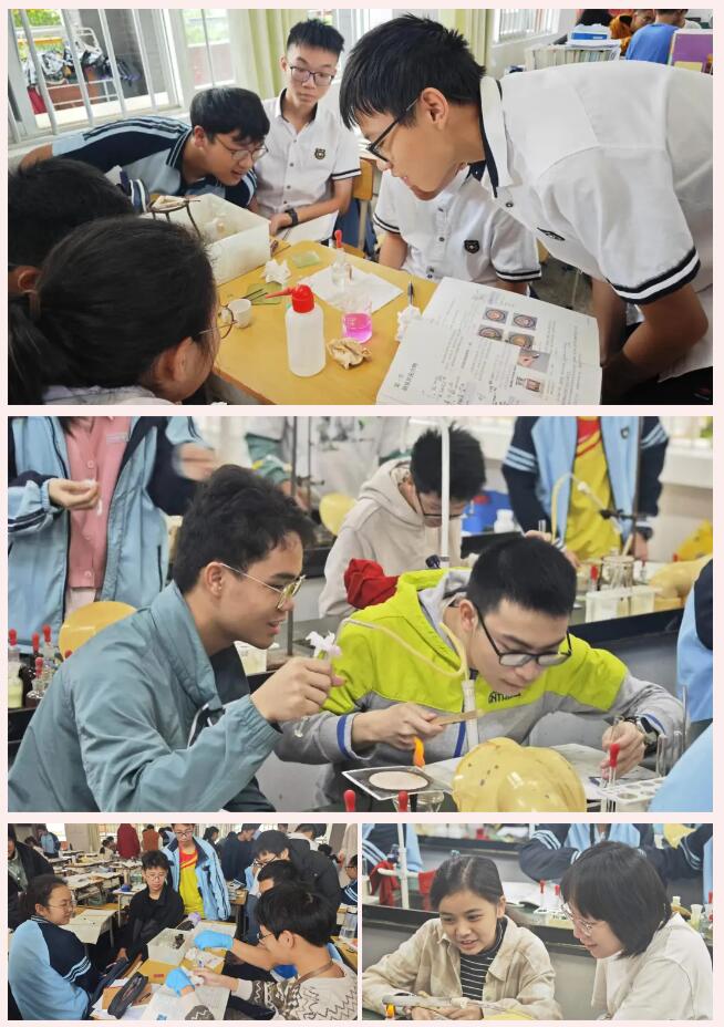 QQ截图20240624090306.jpg